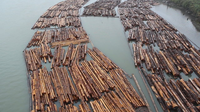 Fraser River Lumber.  Richmond, BC.