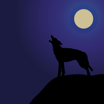 Wolf Howling in the Moonlight