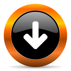 download icon