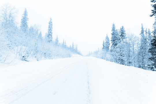 Winter road in a forest