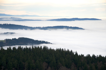 Schwarzwald, Black Forest, Germany