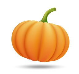 pumpkin on white background