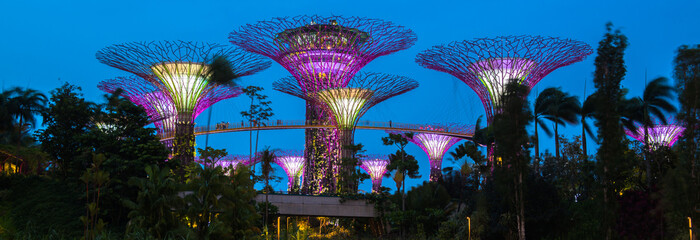 Gardens by the Bay - SuperTree Grove in Singapur