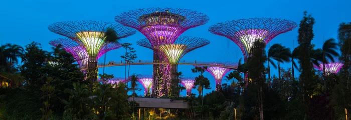 Afwasbaar Fotobehang Singapore Gardens by the Bay - SuperTree Grove in Singapore