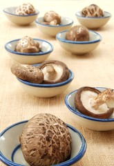 Shiitake mushroom, Authentic Chinese mushroom
