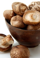 Shiitake mushroom, Authentic Chinese mushroom