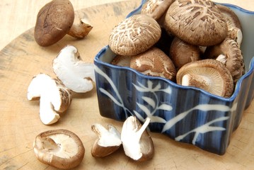 Shiitake mushroom, Authentic Chinese mushroom