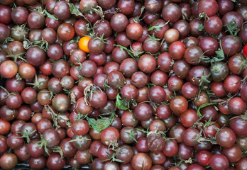 Bunch of dark cherry tomatoes with selective focus