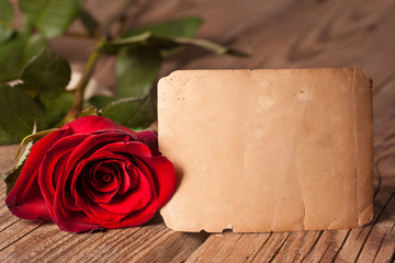 red rose on wooden background