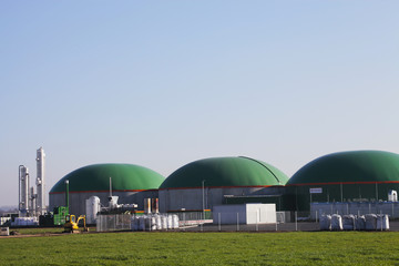 Biogas engineering Agriculture