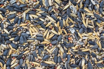 Full frame photo of mixed bird food