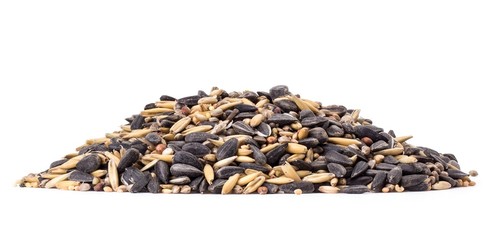Pile of bird seed with large DOF on white background