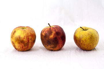 Three not so fresh apples