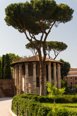 Rome - Vesta temple