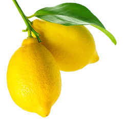 Lemon isolated on White. Fresh and Ripe Lemons