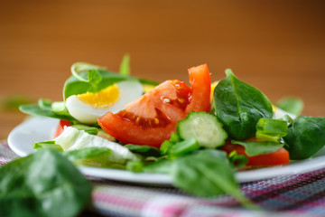 summer salad with egg