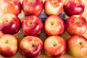 Twelve Apples in Plastic Tray