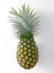 Fototapeta premium Ananas