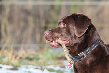 N&ouml; behalte ich!!!