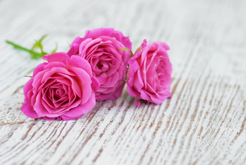 Pink roses