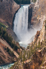The Lower Falls, Yellowstone.
