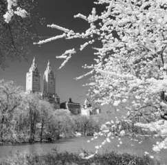 Photo sur Aluminium brossé New York Central park, New York City. USA.