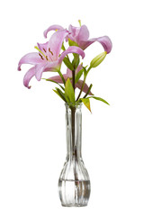 Pink Lily in a Vase