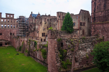 Fototapeta na wymiar Castle in Heidelberg
