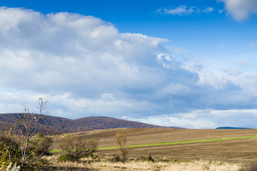 brown field and blue sky.