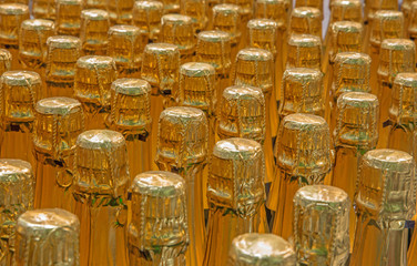 Detail of  champagne bottles.