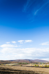 brown field and blue sky.
