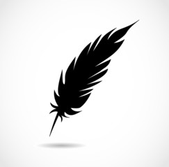 Vector black feather