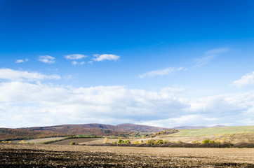 Fototapeta na wymiar brown field and blue sky.