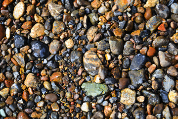 River pebbles