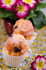 Muffins, Himbeermuffin, Ostern, Kirschen