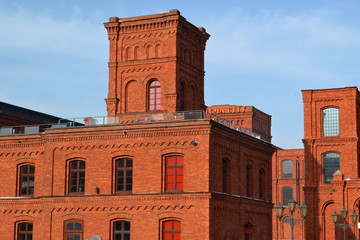 Poznański © Senatorek