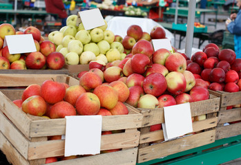 Crates with tasty apples on the market