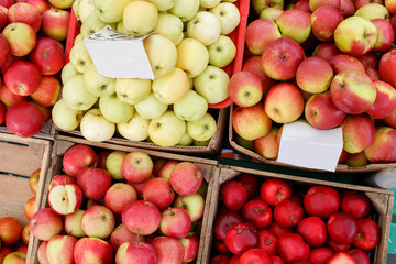 Red and yellow apples in wooden boxes