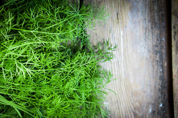 Fresh dill on rustic wooden table