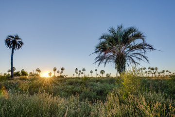 Sunrise on El Palmar National Park, Argentina