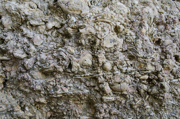 detail of sediments on the coast, Portugal