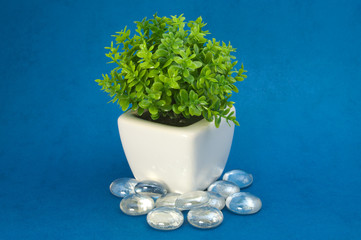 small green plant between the stones