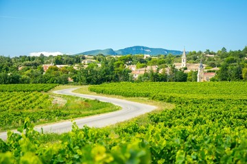 Vignes et village en Provence, France - 60995953