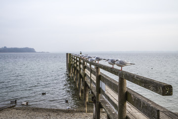 Fototapeta premium Chiemsee