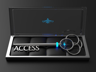 Access Key