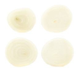 Onion's cutaway isolated