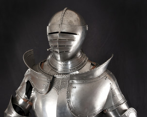 Fototapeta premium Armour