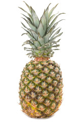 Fototapeta premium Fresh whole pineapple