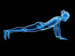 Obraz premium 3d rendered illustration - woman doing pushups