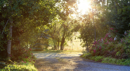 Fototapeta premium Beautiful morning countryside landscape